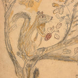 Giant Squirrel in Tree with Nut and Dog Head: Wonderful 1907 D.B Webber Ink and Graphite Drawing