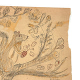 Giant Squirrel in Tree with Nut and Dog Head: Wonderful 1907 D.B Webber Ink and Graphite Drawing