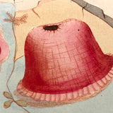 SOLD Stunning Hybrid: Twice Watercolored 1790 Shaw & Nodder Copper Engraving of Sea Anemone (#1)
