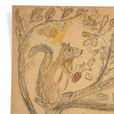 Giant Squirrel in Tree with Nut and Dog Head: Wonderful 1907 D.B Webber Ink and Graphite Drawing