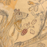 Giant Squirrel in Tree with Nut and Dog Head: Wonderful 1907 D.B Webber Ink and Graphite Drawing