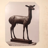 C. 1880s Albumen Print of Bronze Gazelle at Naples Museum