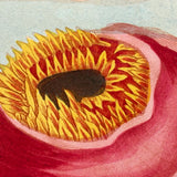 SOLD Stunning Hybrid: Twice Watercolored 1790 Shaw & Nodder Copper Engraving of Sea Anemone (#1)