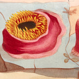 SOLD Stunning Hybrid: Twice Watercolored 1790 Shaw & Nodder Copper Engraving of Sea Anemone (#1)