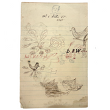 Pig, Dog, Mother Hen, Roses, Tower with Flag (and More on Reverse) : Wonderful 1907 D.B Webber Ink Drawing