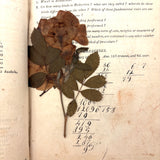 Steal Not This Book My Little Friend, 1808 Scholar's Arithmetic with Ink Drawn Ladies and More