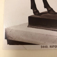 C. 1880s Albumen Print of Bronze Gazelle at Naples Museum