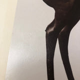 C. 1880s Albumen Print of Bronze Gazelle at Naples Museum