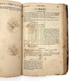 Steal Not This Book My Little Friend, 1808 Scholar's Arithmetic with Ink Drawn Ladies and More