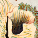 SOLD Stunning Hybrid: Twice Watercolored 1790 Shaw & Nodder Copper Engraving of Sea Anemone (#2)