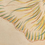 SOLD Stunning Hybrid: Twice Watercolored 1790 Shaw & Nodder Copper Engraving of Sea Anemone (#2)
