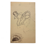 Ram and Rabbit in the Corner, 1907 Folk Art Ink Drawing