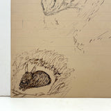Ram and Rabbit in the Corner, 1907 Folk Art Ink Drawing