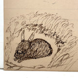 Ram and Rabbit in the Corner, 1907 Folk Art Ink Drawing