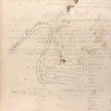 Steal Not This Book My Little Friend, 1808 Scholar's Arithmetic with Ink Drawn Ladies and More