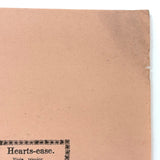More Found Poetry: c. 1850 Soft Pink Shaker Hearts-Ease Herb Label, Watervliet, NY