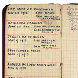 1910s Pocket Notebook with Portrait and Curious Mix!