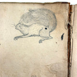 Olney's Modern Geography, 1835, With Excellent Endpaper Squirrel Drawing!