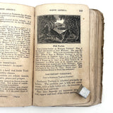 Olney's Modern Geography, 1835, With Excellent Endpaper Squirrel Drawing!