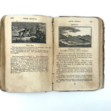 Olney's Modern Geography, 1835, With Excellent Endpaper Squirrel Drawing!