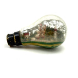 Old Folk Art Ship in a Lightbulb!