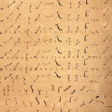 Abstract Language, Margarete Gibbons' 1902 Completely Full Stenography Notebook
