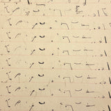 Abstract Language, Margarete Gibbons' 1902 Completely Full Stenography Notebook