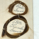Two Loops and a Line, Victorian Mounted Hair Samples "Drawing", 1867, with Verse on Reverse