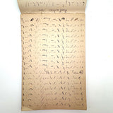 Abstract Language, Margarete Gibbons' 1902 Completely Full Stenography Notebook