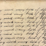 Many Men of Many Minds...Daniel Zigler's Charming, Unusual 1847 Penmanship Notebook