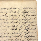 Many Men of Many Minds...Daniel Zigler's Charming, Unusual 1847 Penmanship Notebook