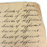 Many Men of Many Minds...Daniel Zigler's Charming, Unusual 1847 Penmanship Notebook