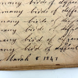 Many Men of Many Minds...Daniel Zigler's Charming, Unusual 1847 Penmanship Notebook