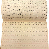 Abstract Language, Margarete Gibbons' 1902 Completely Full Stenography Notebook