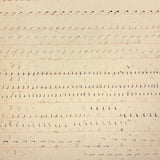 Abstract Language, Margarete Gibbons' 1902 Completely Full Stenography Notebook