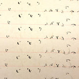 Abstract Language, Margarete Gibbons' 1902 Completely Full Stenography Notebook