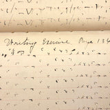 Abstract Language, Margarete Gibbons' 1902 Completely Full Stenography Notebook