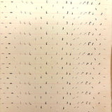 Abstract Language, Margarete Gibbons' 1902 Completely Full Stenography Notebook