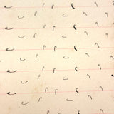 Abstract Language, Margarete Gibbons' 1902 Completely Full Stenography Notebook
