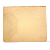 Pink and Yellow Bird with Flowers and Perched Owl, PA Naive Drawing c. 1900