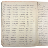 Honor to Whom Honor is Due, Bertha Hurd's 1892 Penmanship Notebook, Full