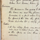 Miss Fanny Williams's (Stonington, CT) 1834 School Register With Beautiful Tally Marks and Poetic Insertions