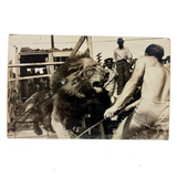 Lion, Tamer and Onlookers, Dramatic Old Real Photo Postcard