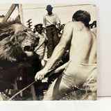 Lion, Tamer and Onlookers, Dramatic Old Real Photo Postcard