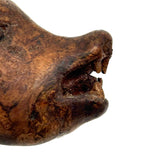 SOLD Old Carved Burl Folk Art Wolf (?) Head with Bared Teeth