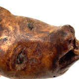 SOLD Old Carved Burl Folk Art Wolf (?) Head with Bared Teeth