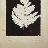 Photogenic Drawing (Photogram) of a Fern, George A. H. Eggers, Dunkirk, NY, c. Late 19th Century