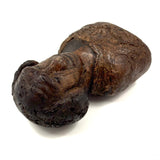 Wise Looking Man, Old Carved Burl Folk Art Bust