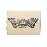 Funny Little Man with Butterfly Wings, 19th Century Wood Engraving