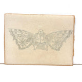 Funny Little Man with Butterfly Wings, 19th Century Wood Engraving